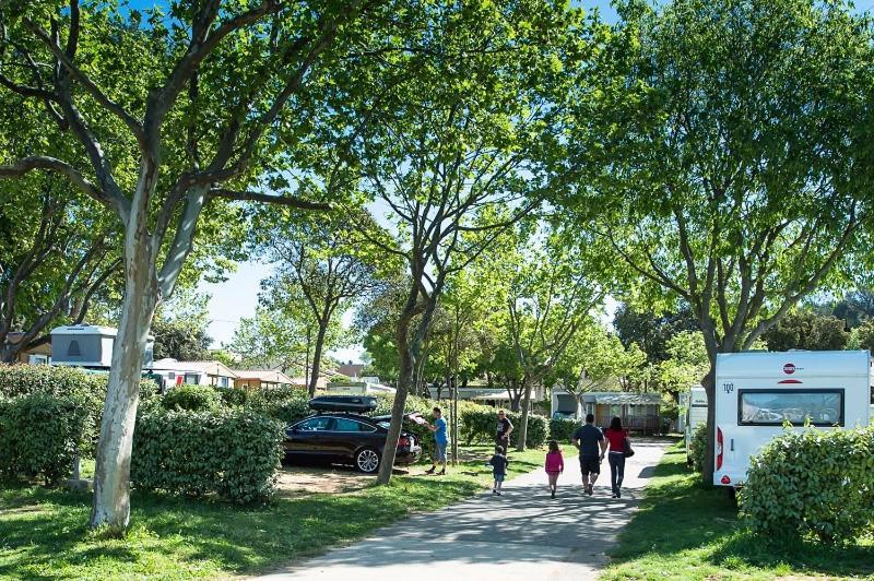 Camping Parc Mogador Sanary-sur-Mer Exteriör bild